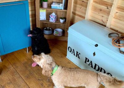 Oak Paddock Upton BH16 5NB - Secure dog walking field to hire