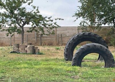 Oak Paddock Upton BH16 5NB - Secure dog walking field to hire