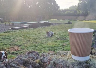 Oak Paddock Upton BH16 5NB - Secure dog walking field to hire