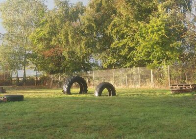 Oak Paddock Upton BH16 5NB - Secure dog walking field to hire