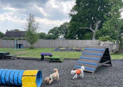 Oak Paddock - award winning secure dog field in Upton, Poole, Dorset.