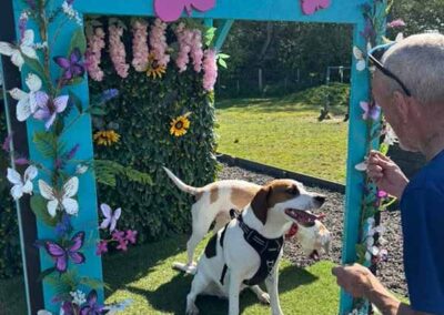 Oak Paddock - award winning secure dog field in Upton, Poole, Dorset.